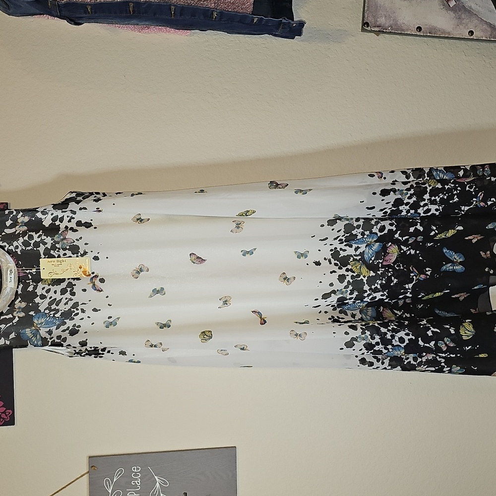 Whimsical Fairycore Sleeveless Floral Maxi Sheer with underlayer By New Light